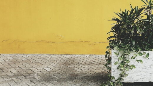 czyszczenie kostki brukowej