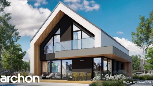 Dom z otwartą kuchnią w ramach części dziennej