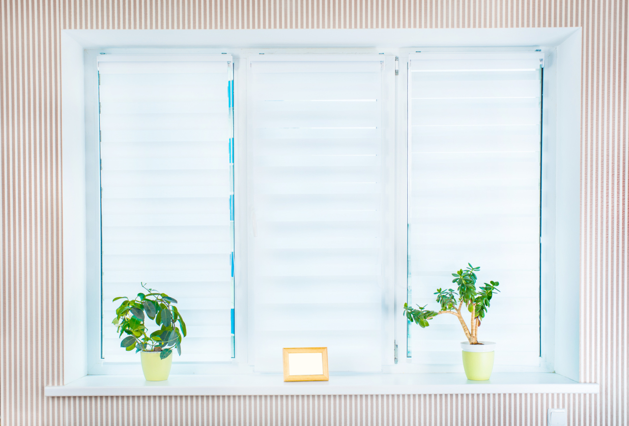 Plisowane rolety i żaluzje - porównanie, montaż, zalety i wady